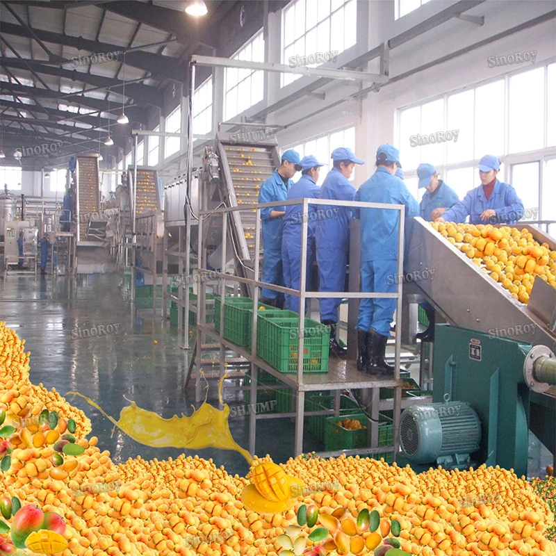 20-200KG Diversity fruit production lines machines for apricot paste, orange grape NFC juice, avocado puree jam sauce ketchup