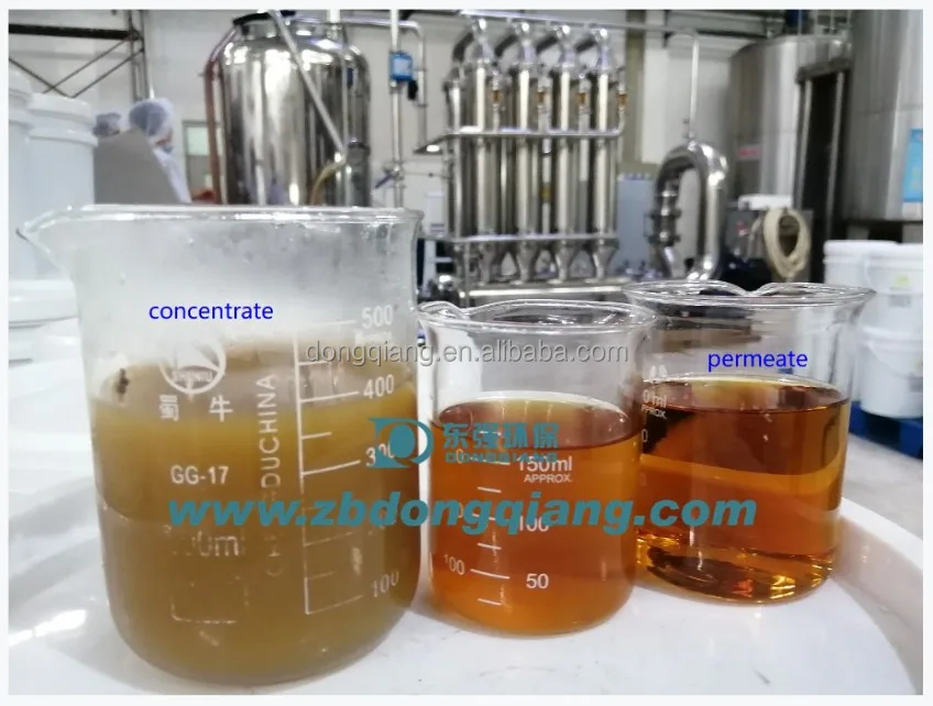 Clarification Of Juice With Crossflow Microfiltration Ceramic Membrane Filter Plant