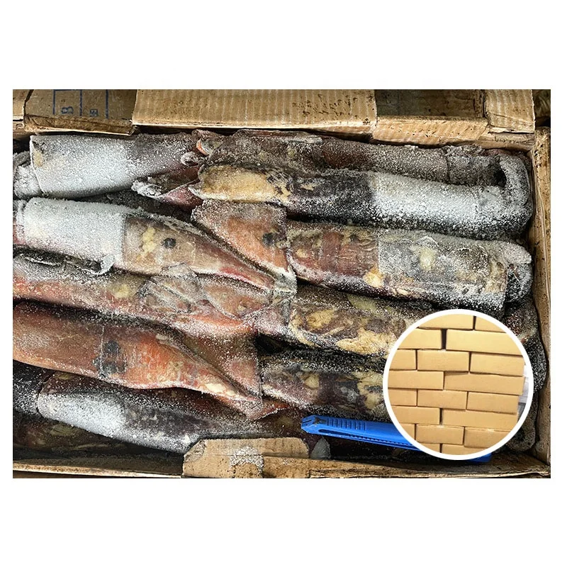 Good Offer Sea Catch Frozen Squid Products 100 - 300g Sea-frozen Indian Ocean Squid