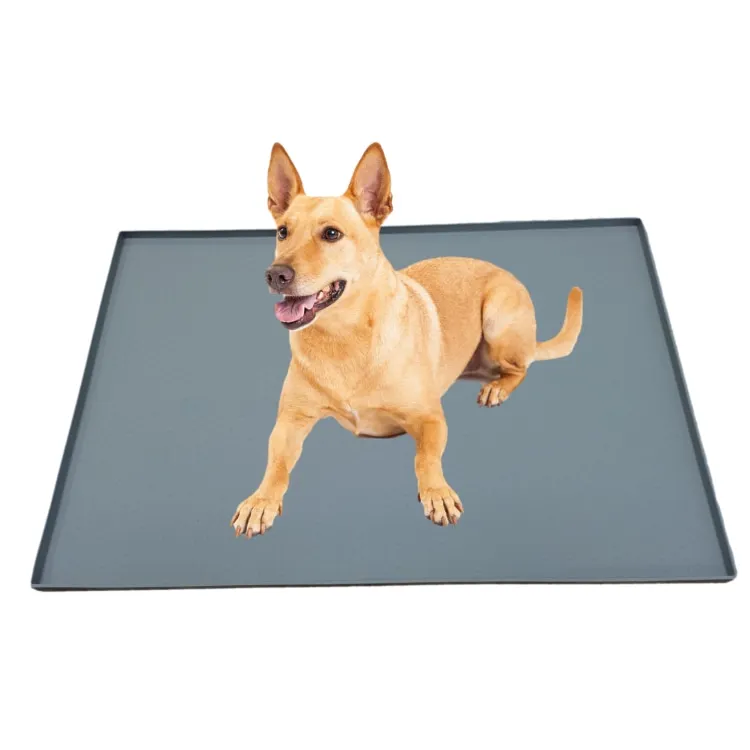  Factory Supply High Quality China Powerful Original Durable pet cooling food