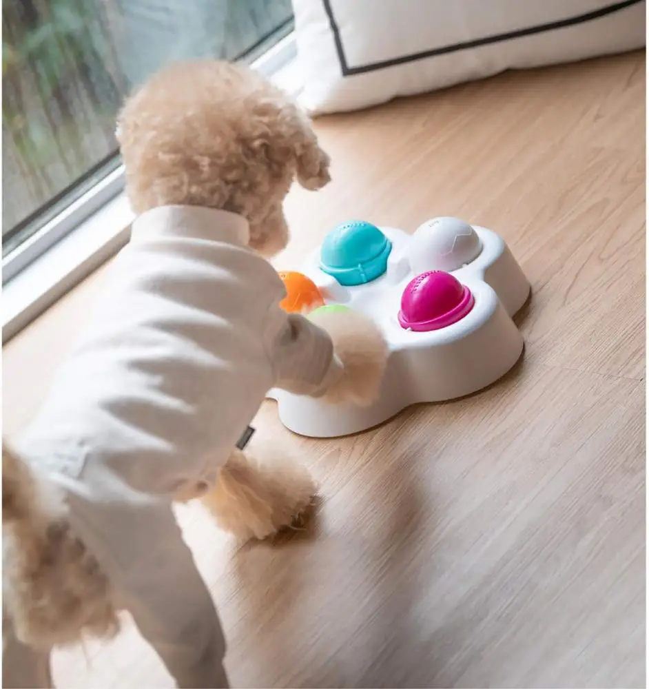 Pet IQ Intelligent Toy Smart Dog Puzzle Toys for Beginner Puppy Training Treat Dispenser Interactive Dog Toys