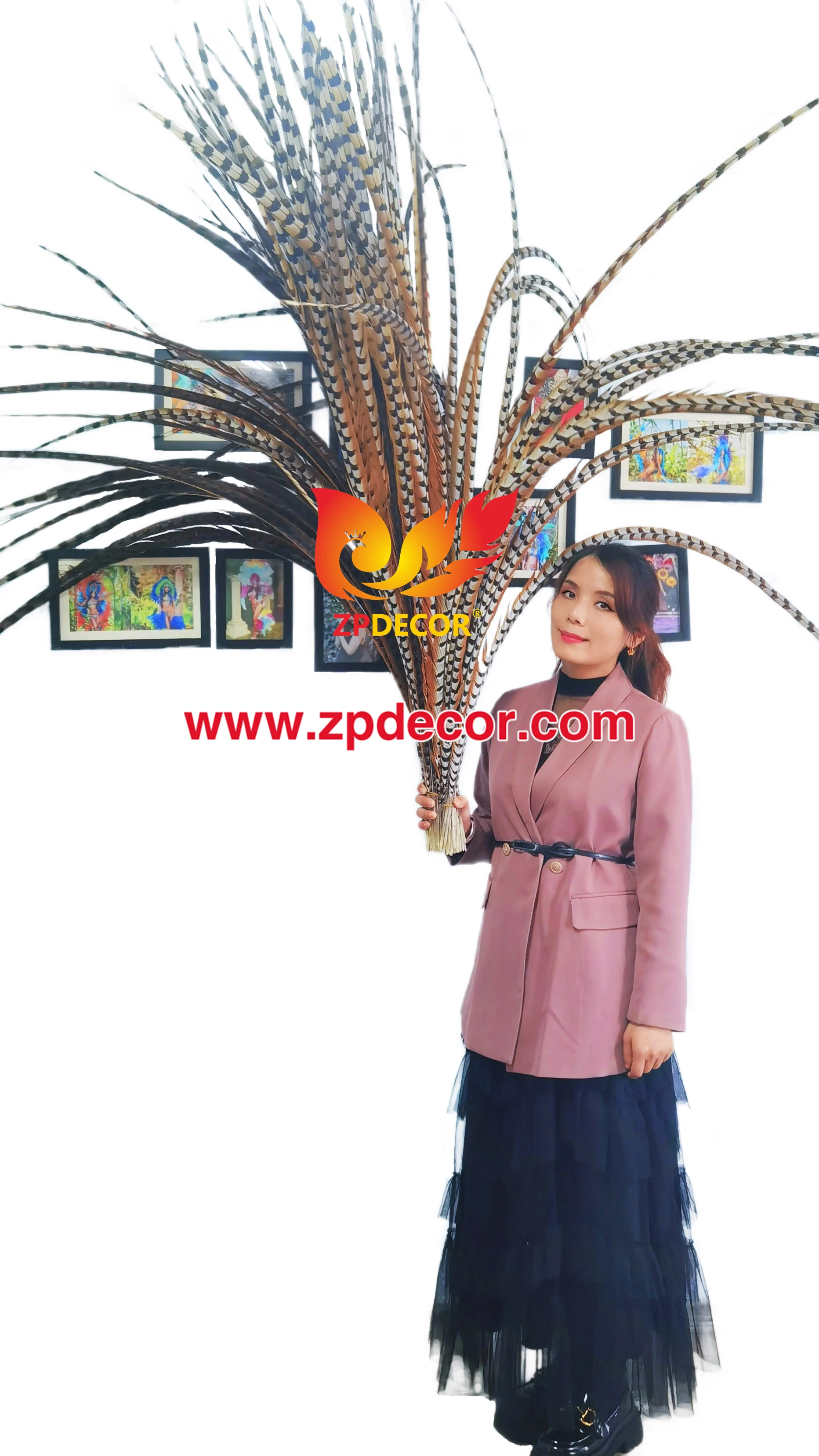 Оптовая продажа с завода ZPDECOR, супер длинные натуральные перья хвоста фазана для карнавала Майами бахамс янканоо