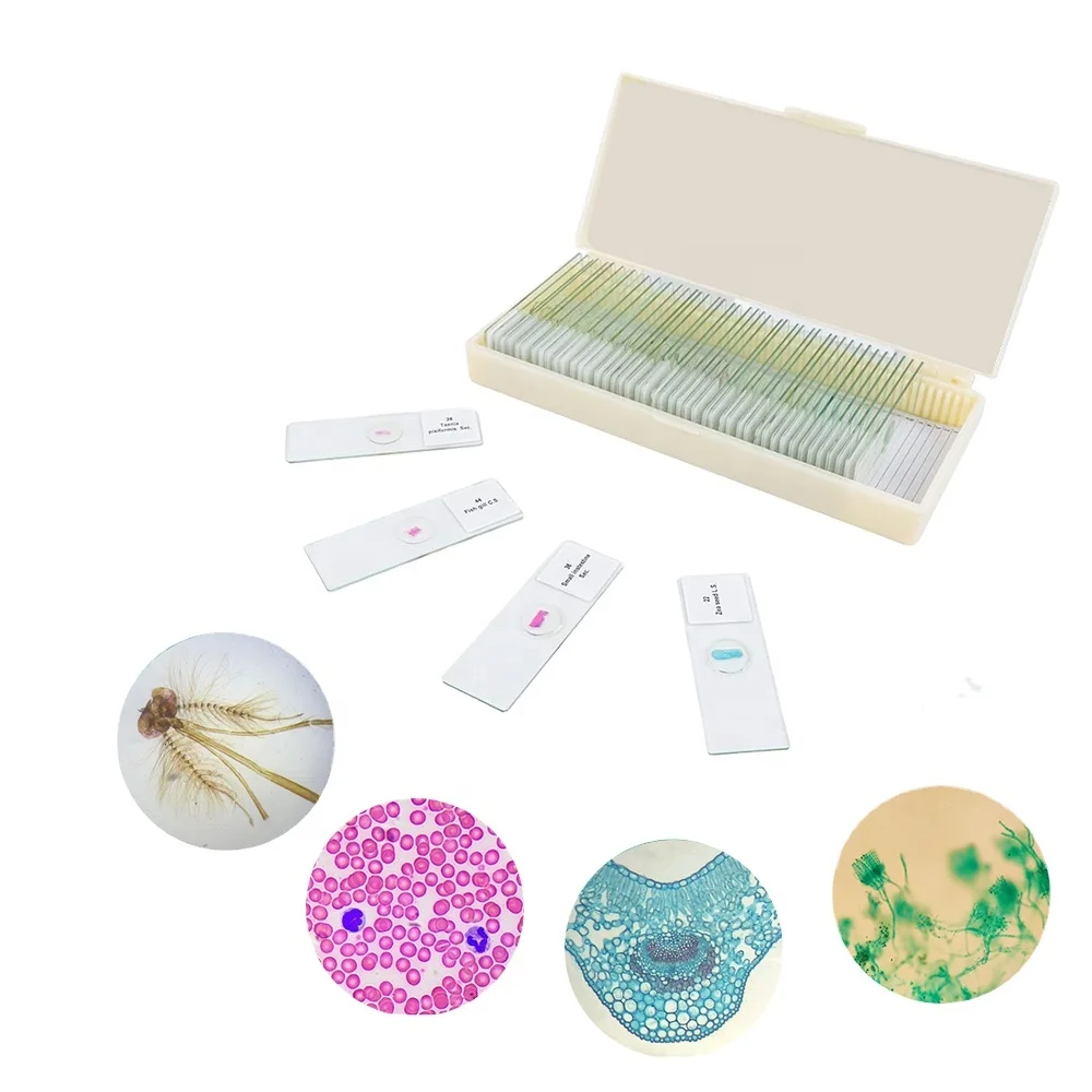 Zoology And Botany Histology 100 Items Mixed Microscope  Slides FRT2010 Prepared Slides Specimen Biology Microscope Section