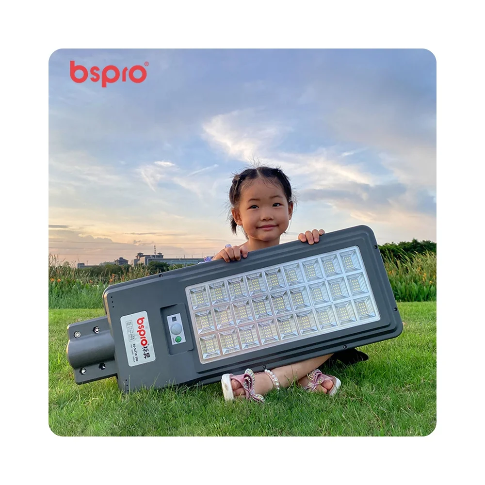 Bspro High Quality Fast Charging Campus Paths Led Lights Outdoor Solar Street Light Quality From Expertise