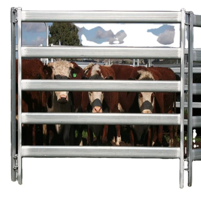 Cattle Panel - 16 feet