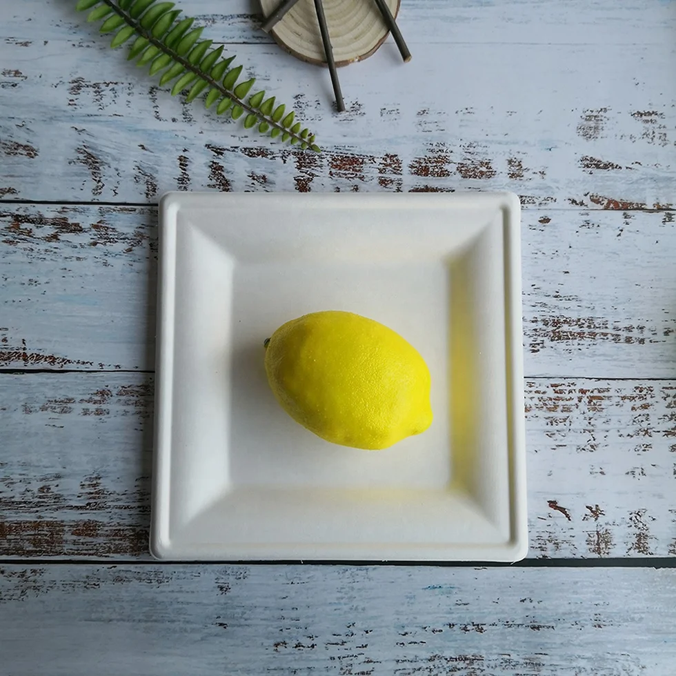 Disposable Paper Square Plates Biodegradable Square Dinner Plates White 10 Inch 6 Inch 8Inch Square Plate Bagasses Paper Pulp