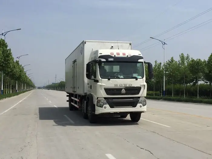 HOWO Diesel 10T Thermo King freezer refrigerator truck