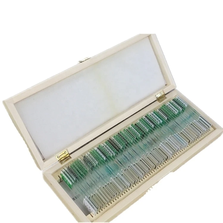 Factory Medical science high quality and best price Biological Prepared Slides botany prepared microscope student educational