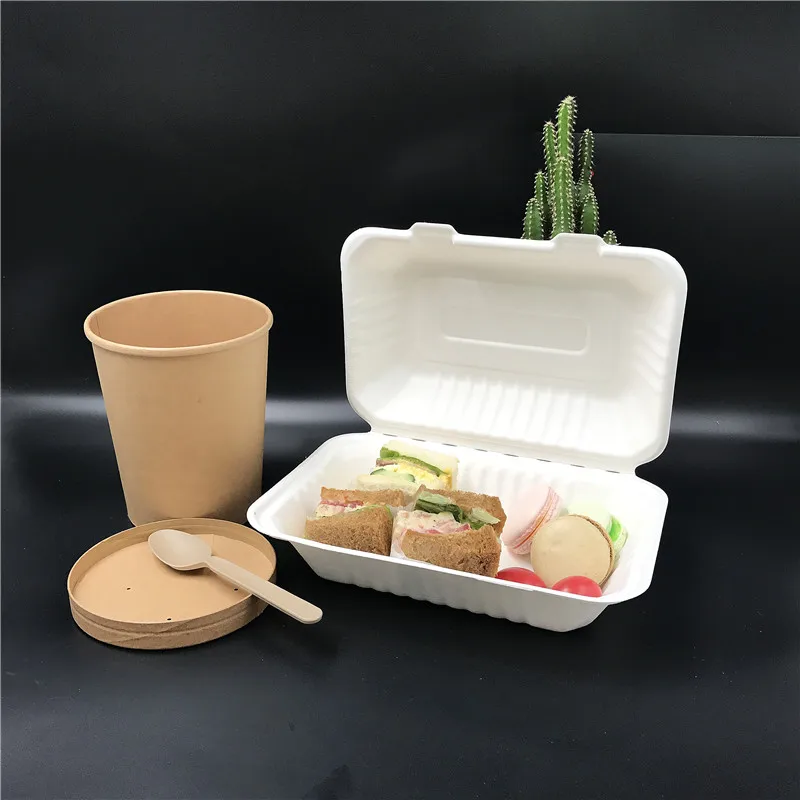 7*5 inch bagasse disposable biodegradable food packaging sandwich box paper takeout clamshell container with lid