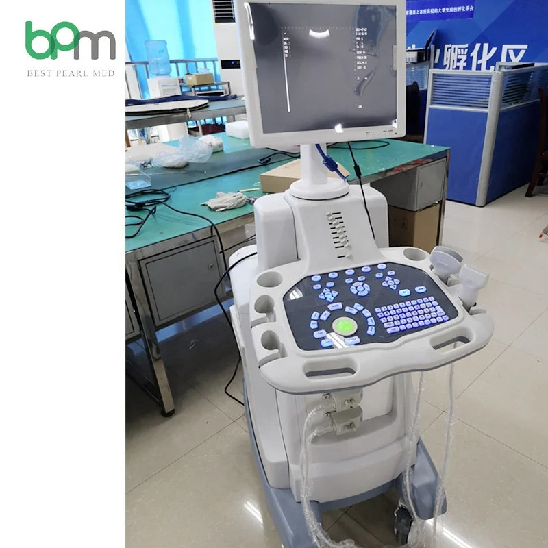 Cheapest Trolley B/W B Ultrasound Price 2D Cheap Ultrasound Machine