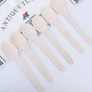 Wholesale Disposable Biodegradable Wooden Cutlery Spoon Fork Knife