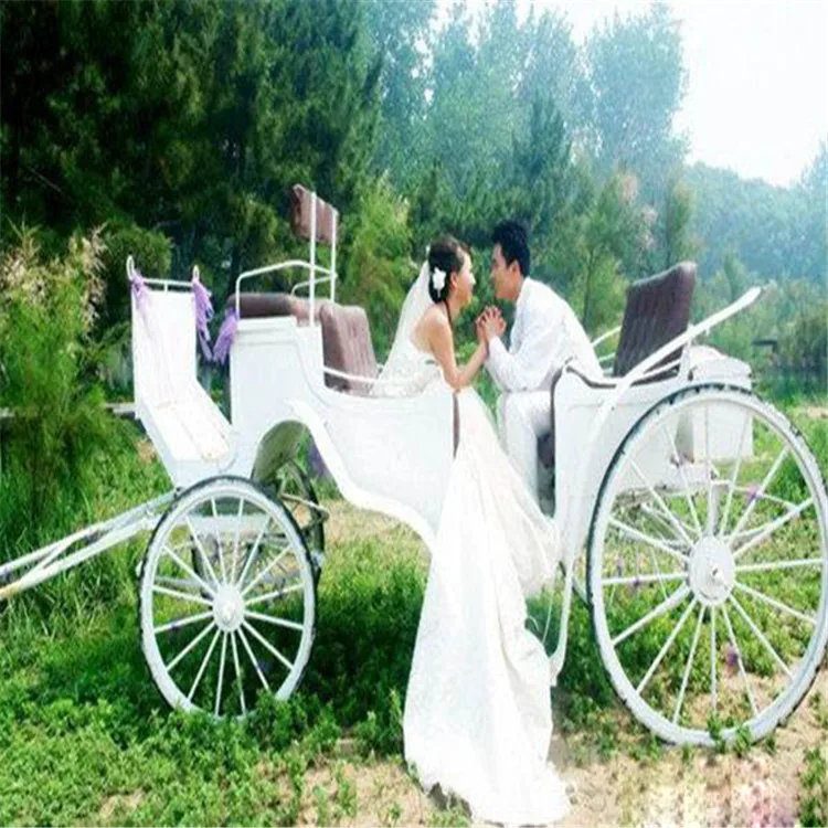 
Wheels For Horse Carriage Vis-a-vis Sightseeing Horse and Carriage 
