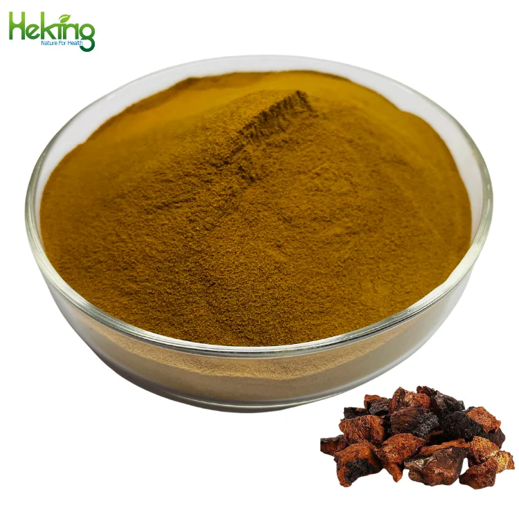 High pure organic chaga polysaccharide powder siberian water soluable  chaga mushroom extract
