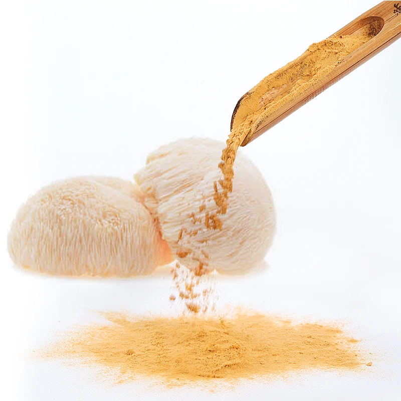 Top Grade Chinese Medicinal Mushroom Extract Lions Mane Powder 100% Organic