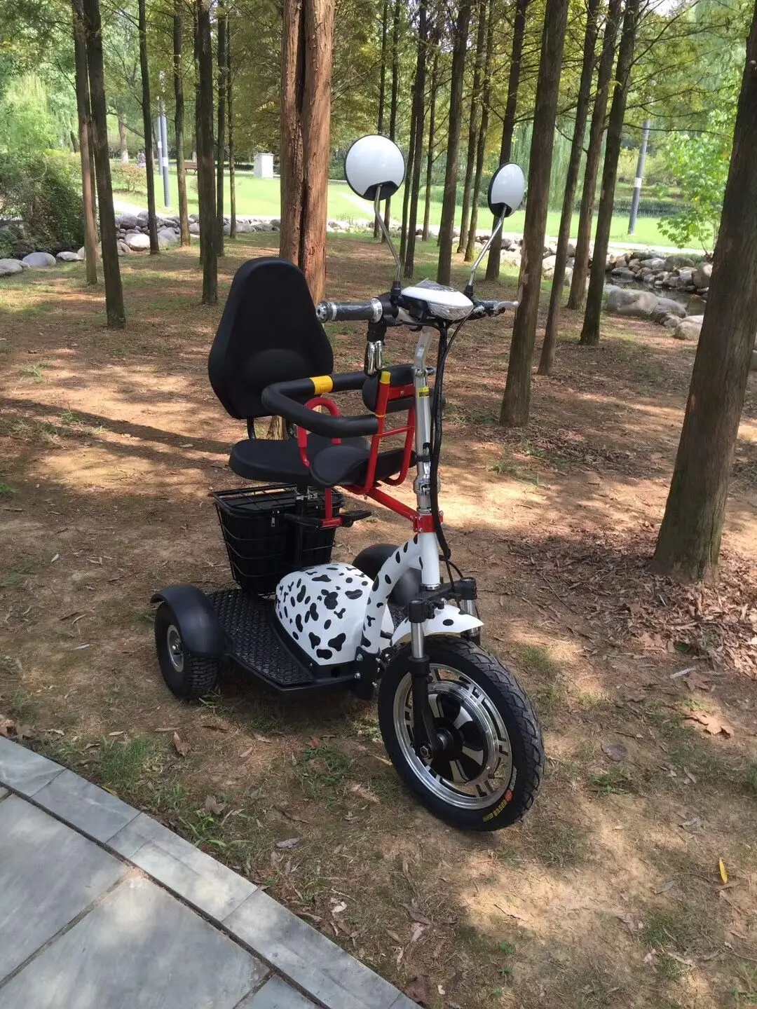 zappy tricycle_4.jpg