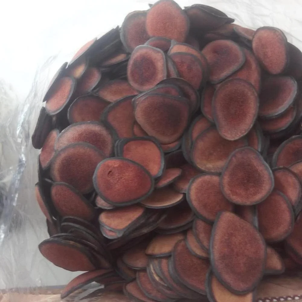 
Wholesale High Quality Fresh Red Deer Antler Made Slices cartialgenous 