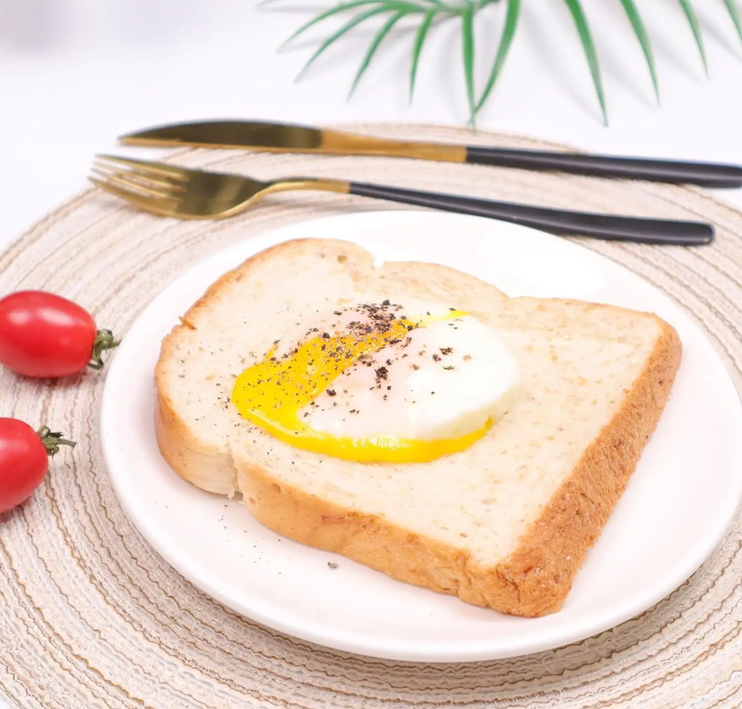 Air Fryer Silicone Baking Cup Lamapee Air Fryer Egg Poacher Multi-Functional Boiled Egg Molds