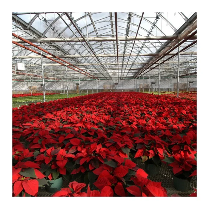 
Can be customized upon request polycarbonate panels greenhouse for fish and shrimp fish 