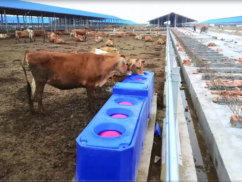 Большое пространство для коров питья резервуар воды приспособление корыта