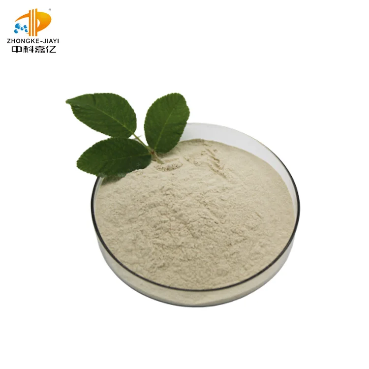 
hot selling high activity promote health shrimp probiotics powder 