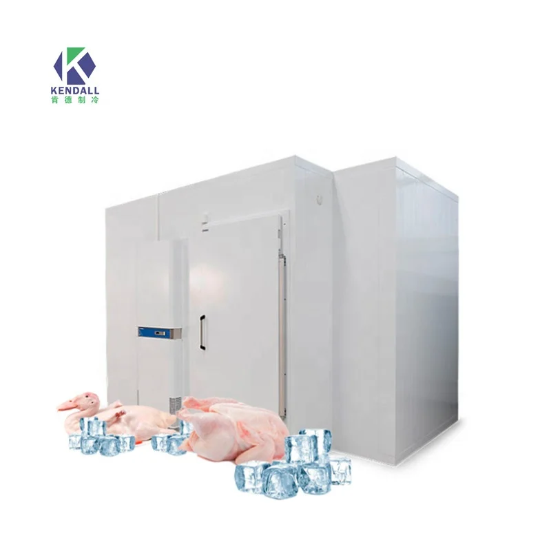 Hot Sale Cold Room  Customized Freezing Room  Deep Freezer Cool Room  For Fresh Fruit  Vegetables Beef And Sea Food