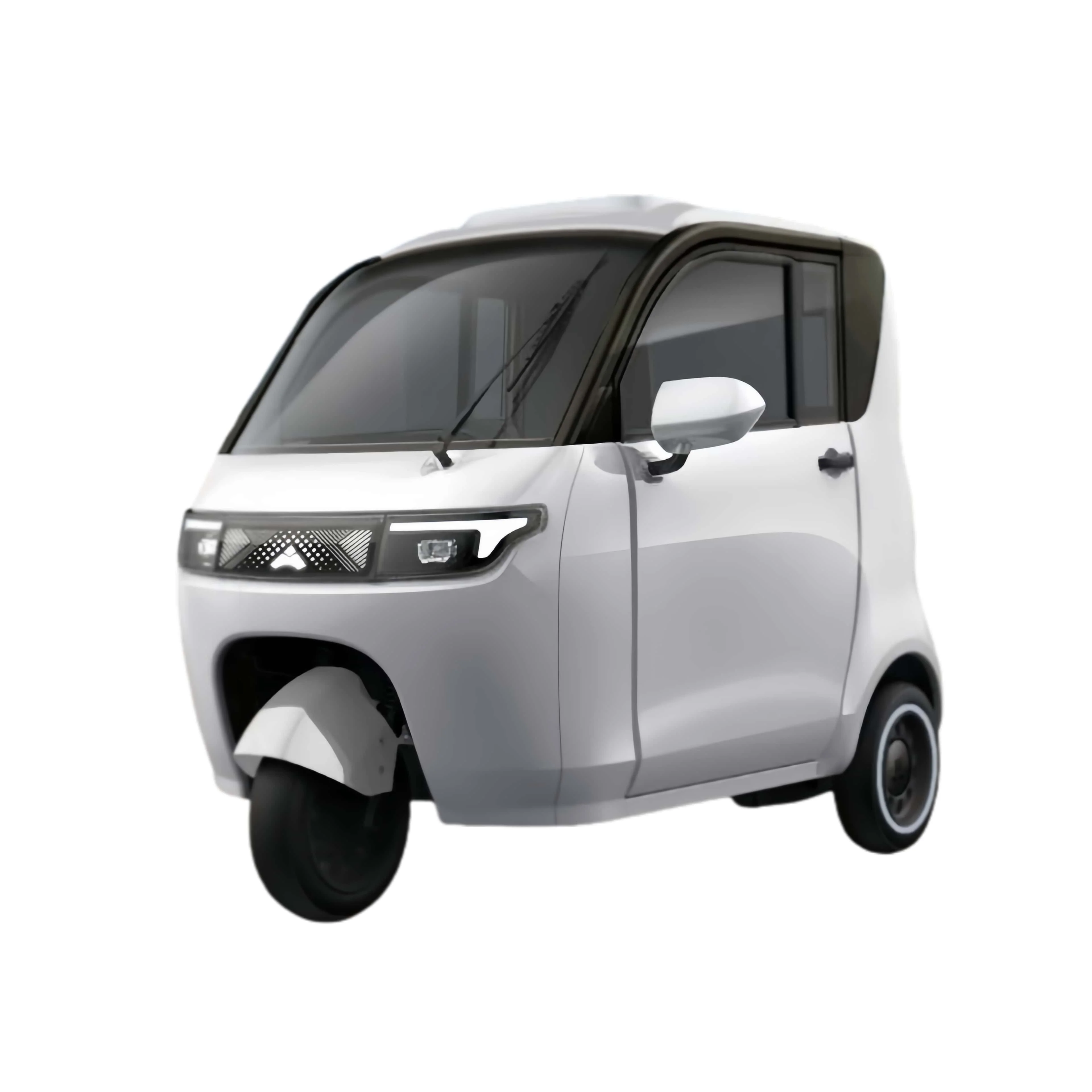 Electric 3-Wheel Cargo Tricycle 1000W Motorized Open Body Type for Passengers Certified with EEC COC DOT Available 60v 36v 24v