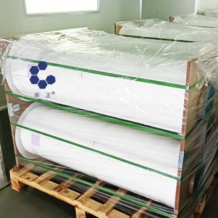 Tremendous chemical resistance PVDF cast film for solar panels