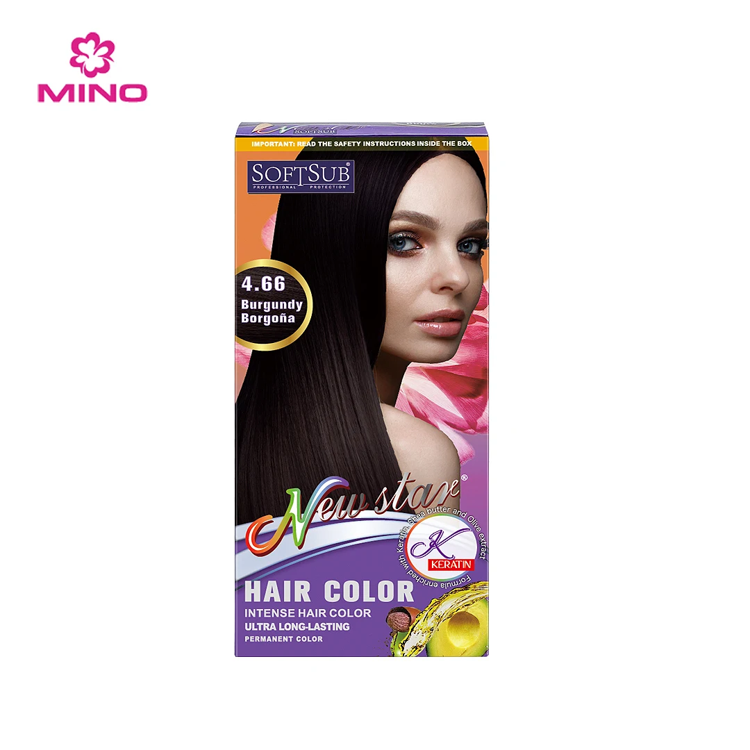 Argan Oil Extract Plant Permanent Hair Color Dye Shampoo OEM Customize Wholesale Natural for Women Covering Gray Hair 21 Colors