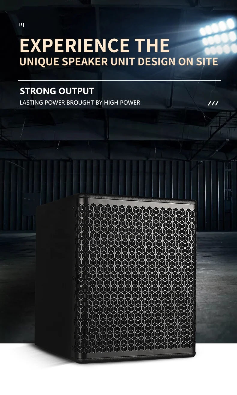 Xtuga S110 Профессиональный Полнодиапазонный 10 дюймов пассивных динамиков аудио система