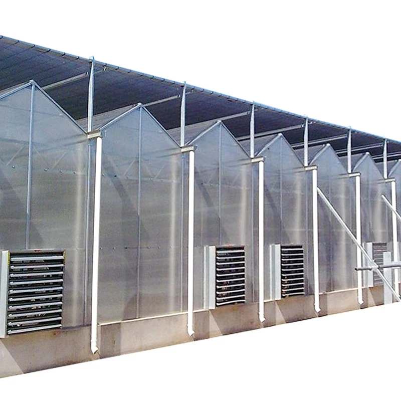 THE SUNSGH HOT Sale PC Sheet Greenhouse Hydroponic Growing Systems with Price