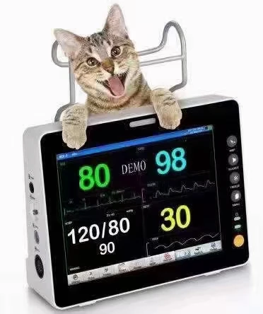 High Quality Animal Use Veterinary Vital Signs Monitor Etco2 Monitor 8 Inch Five 6 Parameter Patient Monitor Multi-parameter