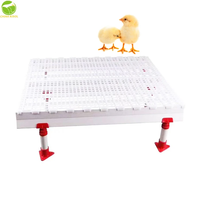 Poultry Plastic Flooring For Breeder Chicken Farming Dung Board Poultry Slat Floor