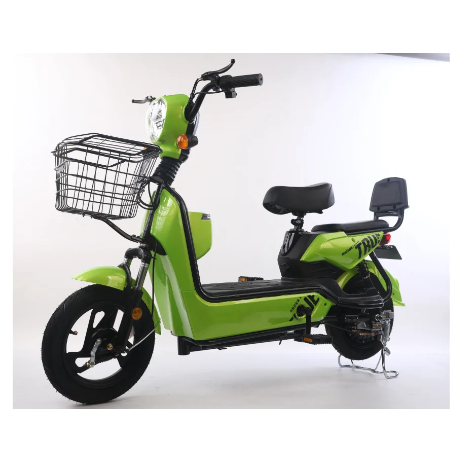 High Power Permanent Magnet Brushless Strong Vintage Fat Tire Adult Electric Bicycle