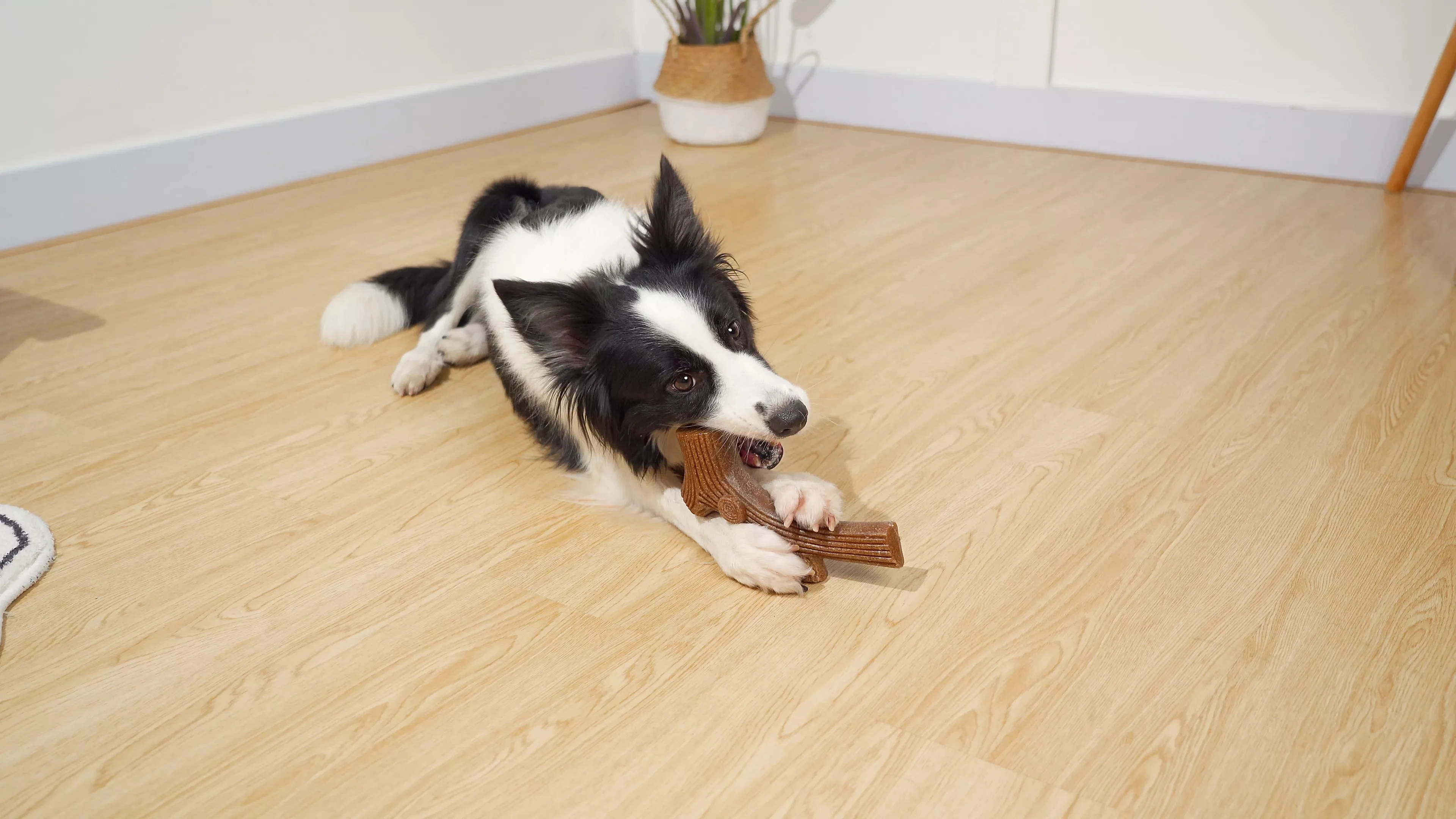 Wholesale New Coffee Wood Puzzle Dog Chew Toys For Pets Aggressive Chewers