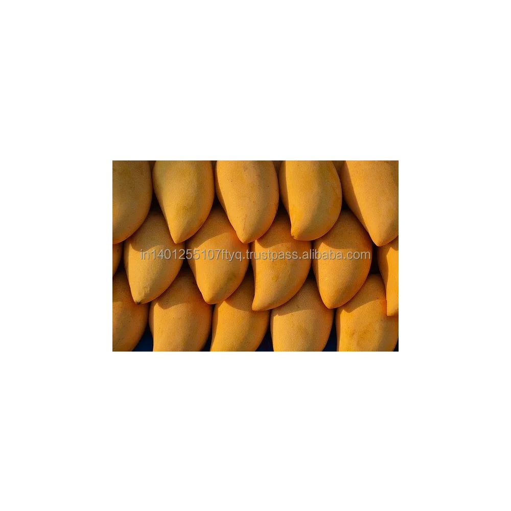Wholesale Sweet Mango FruitFrozen Mango Dice Price IQF Mango Variety Totapuri Dussehri Cut Cubes