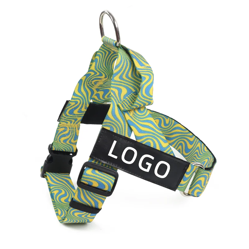 Heavy Duty Custom Printed Color and Pattern Training Dog Harness and Leash Set with Strong Plastic Buckle and Comfortable Handle