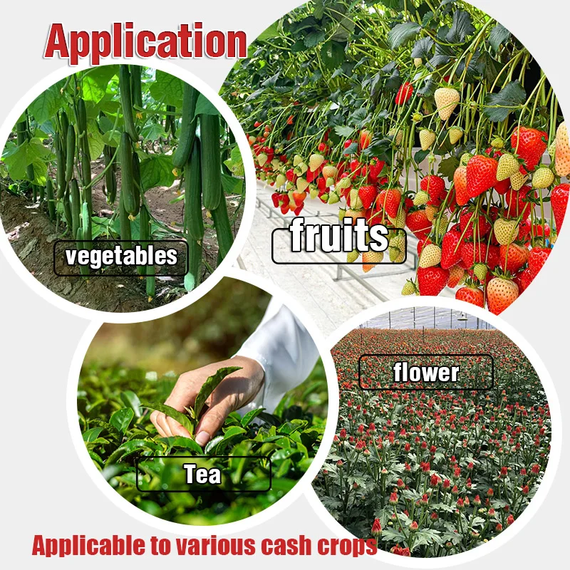 agriculture fertilizer liquid potassium humate from young active leonardite humic and fulvic acid