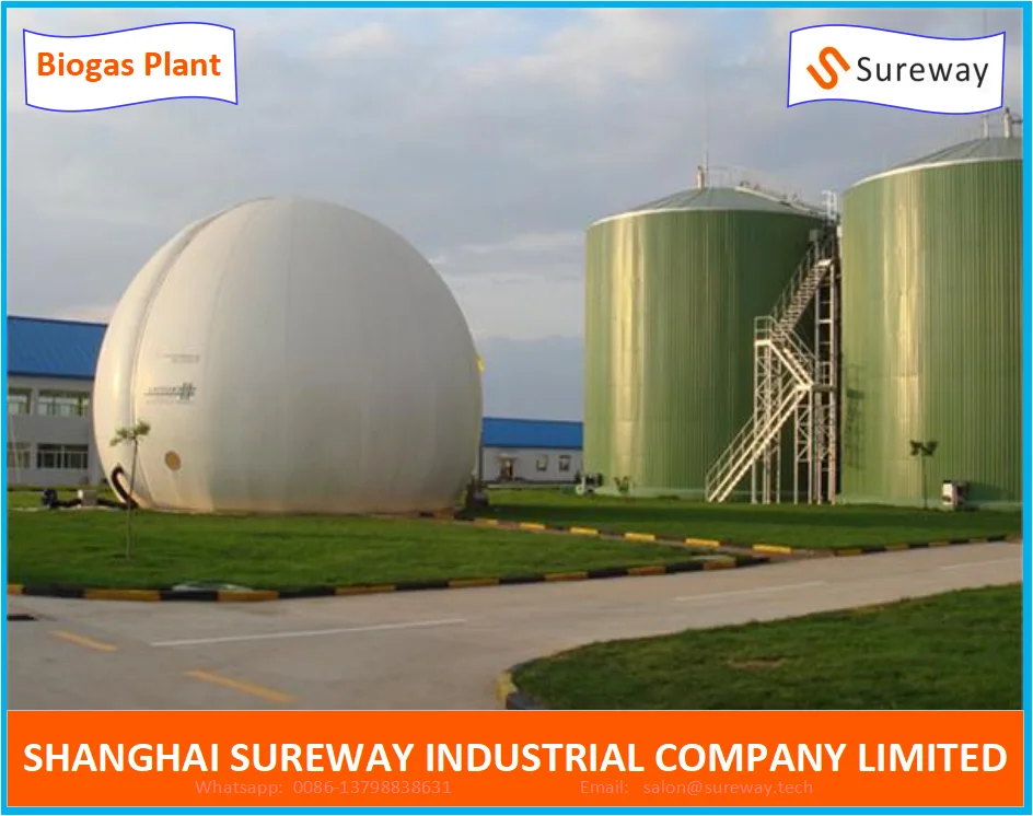 Animal Farm 20000m3 Anaerobic Lagoon Biogas Plant