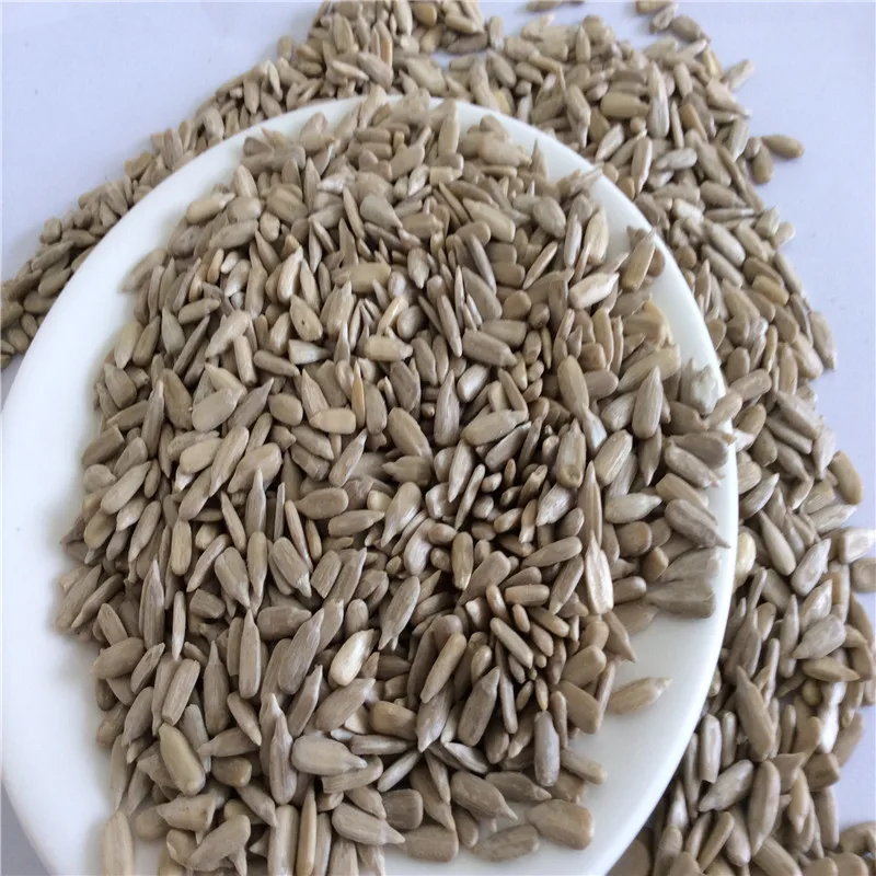 Kernels Sunflower Seeds For Kernels Sunflower Seeds Nuts For Sale