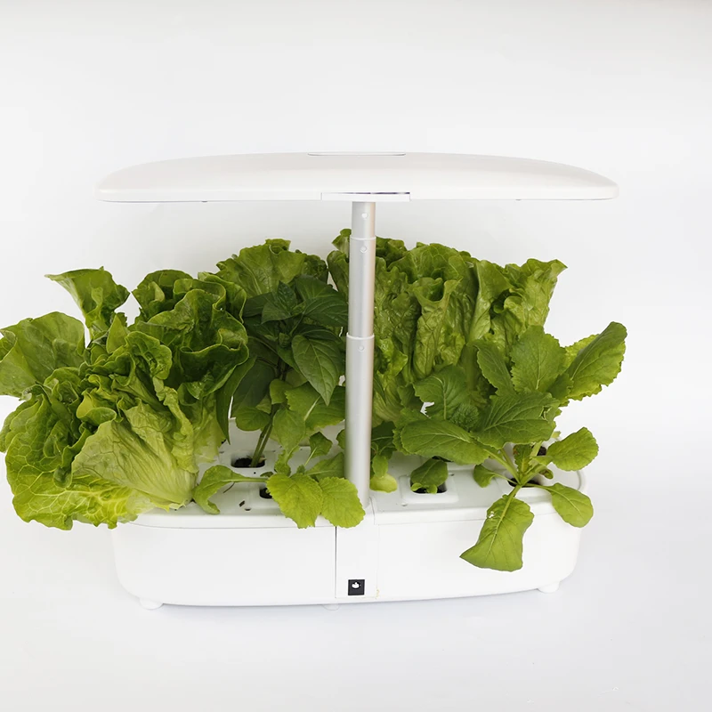 Сельскохозяйственные теплицы Muizlux, Гидропонные светильники для выращивания растений, Прямая поставка, декоративные комнатные светильники для выращивания растений