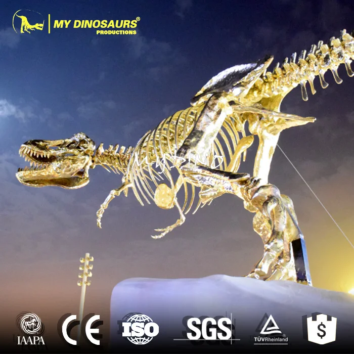Z My Dino DS-033 Handmade Fiberglass T-Rex Dinosaur Gold Skeleton for Taking Picture