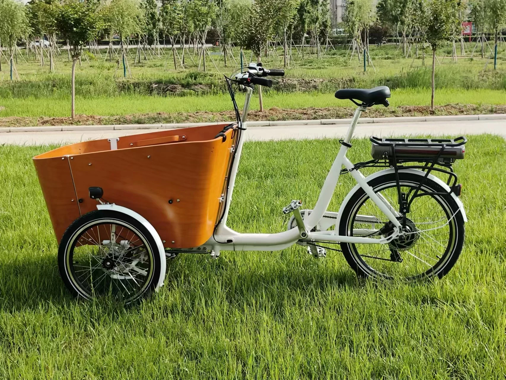 Europe Electric cargo trike CE family bike electric cargo bike three wheel electric cargo tricycle