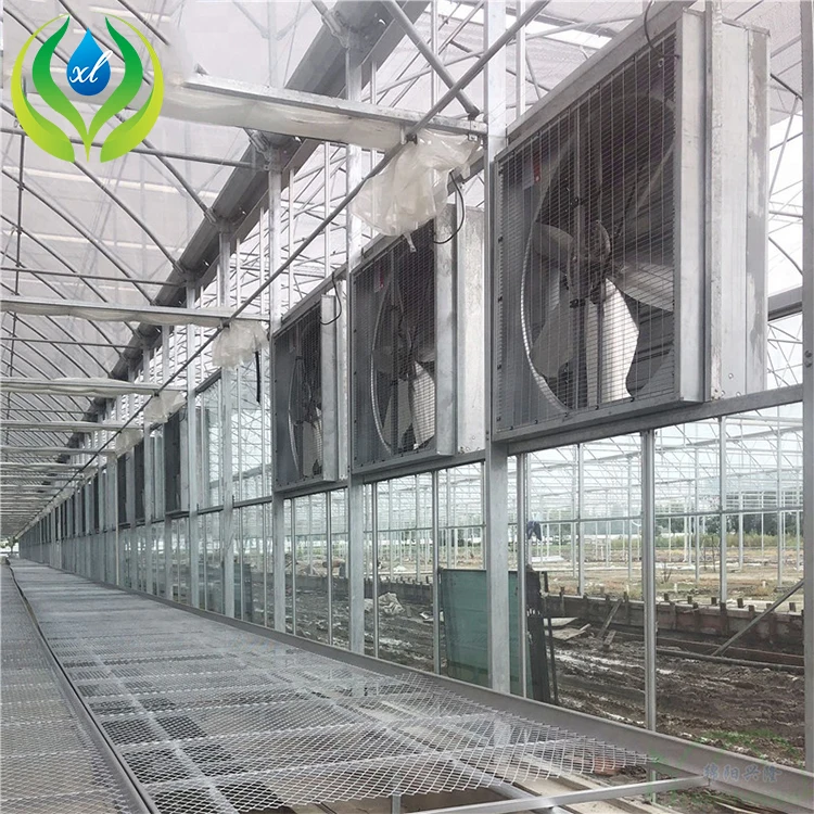 MYXL Equipped Exhaust Fan Wet Curtain Tomato Tunnel Greenhouse With Cooling System