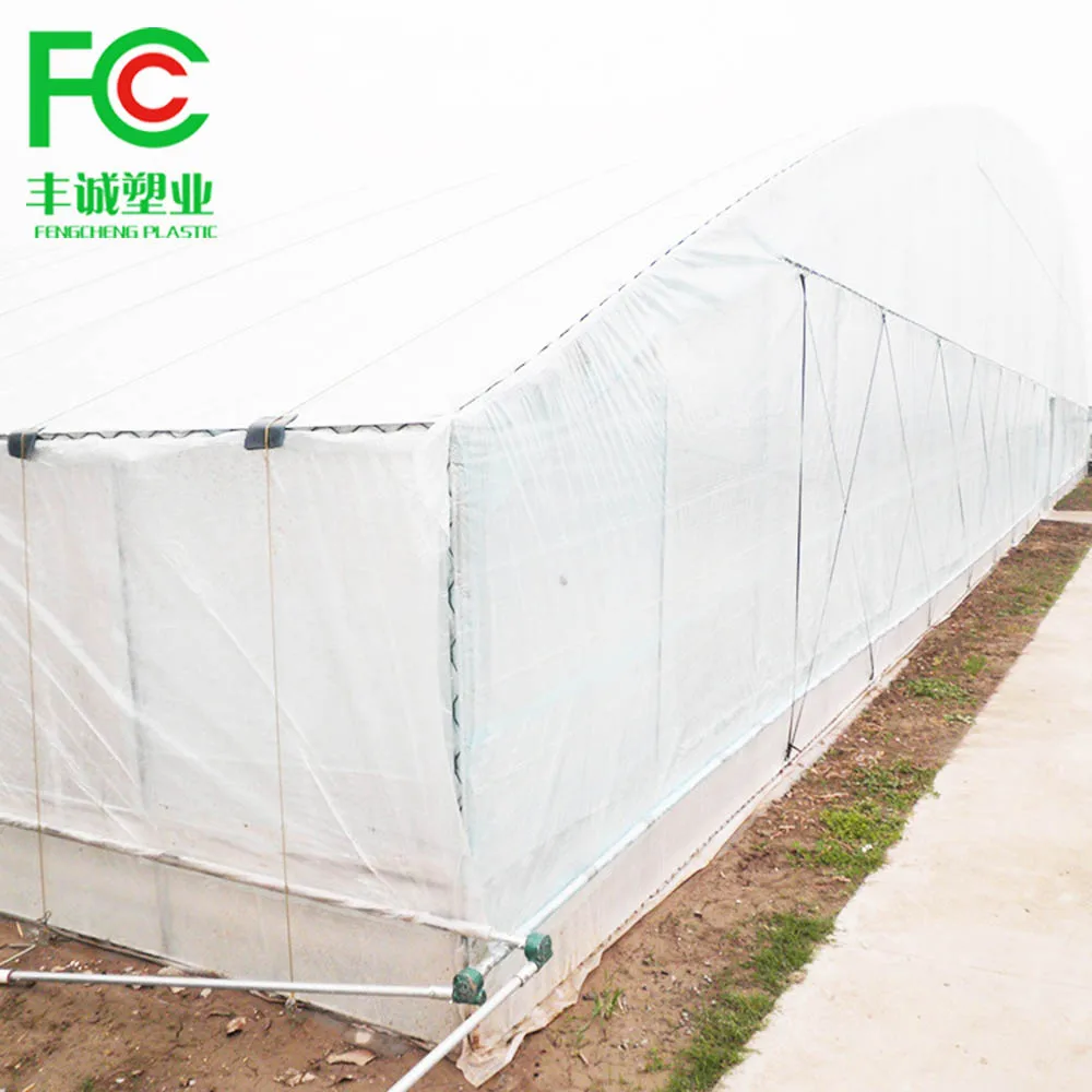 Low cost greenhouse China factory manufacture covered plastic film in wholesale