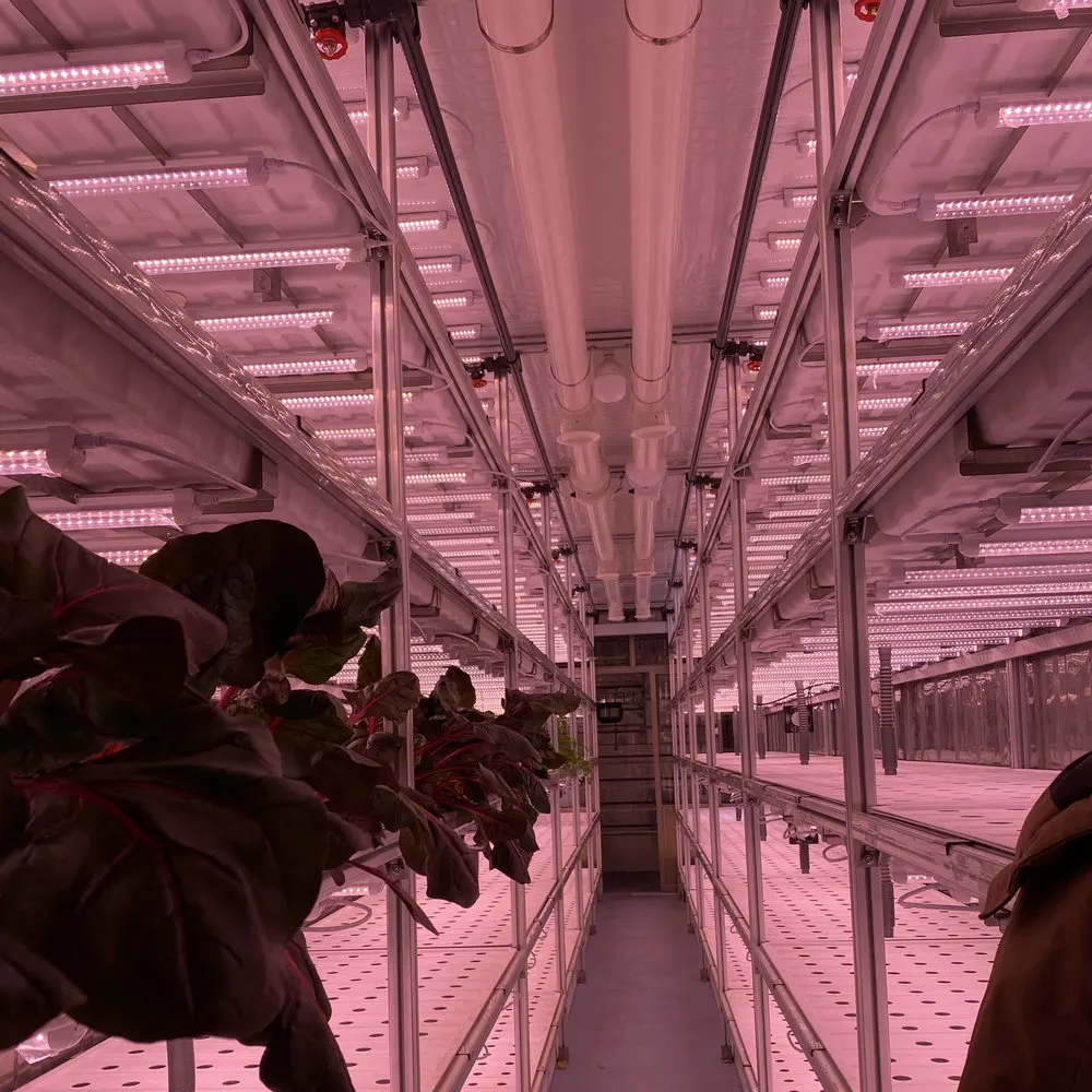 micro-farms container greenhouse farming vegetable hydroponic irrigation system