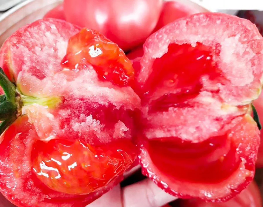 
5g/bag New havested big size fruits early maturity high yield tomato seeds 