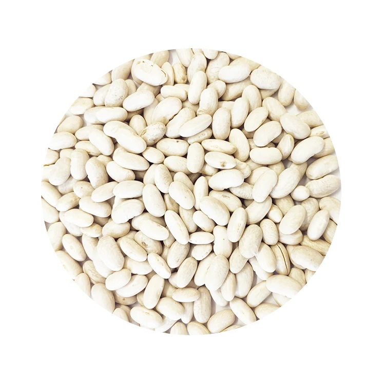 Long shape Big White Kidney Beans New Crop White Beans High Quality White Kidney Beans With Good Price