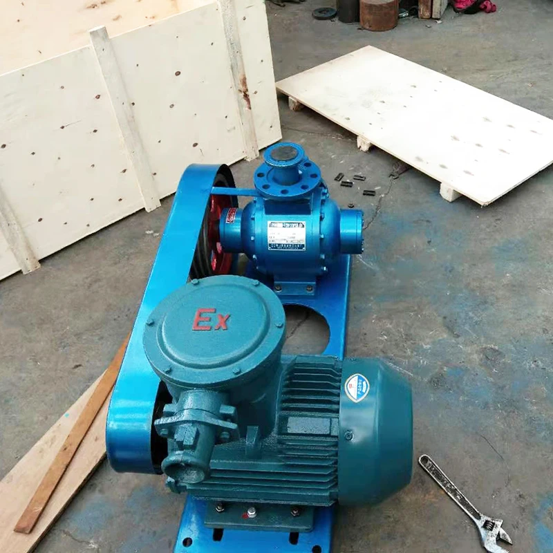Liquid Ammonia freon Transfer Pump Liquefied Petroleum Gas Pump YQB35-5