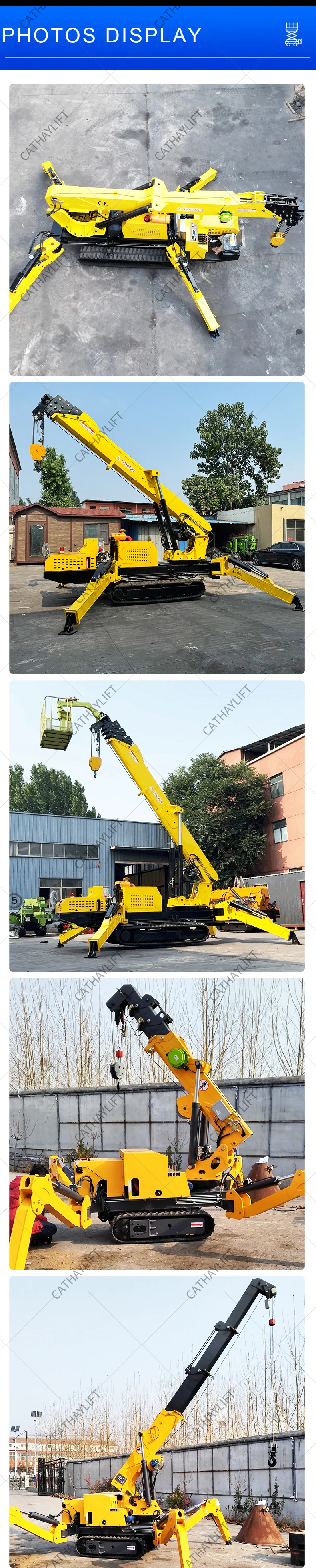 mini crawler crane (7)