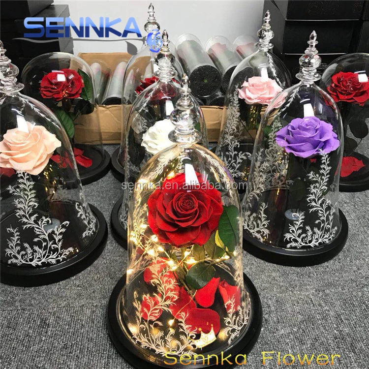 Wholesale Beauty and the Beast Design Flowers Real Natural Single Preserved Rose in Glass Dome for Wedding Decoration